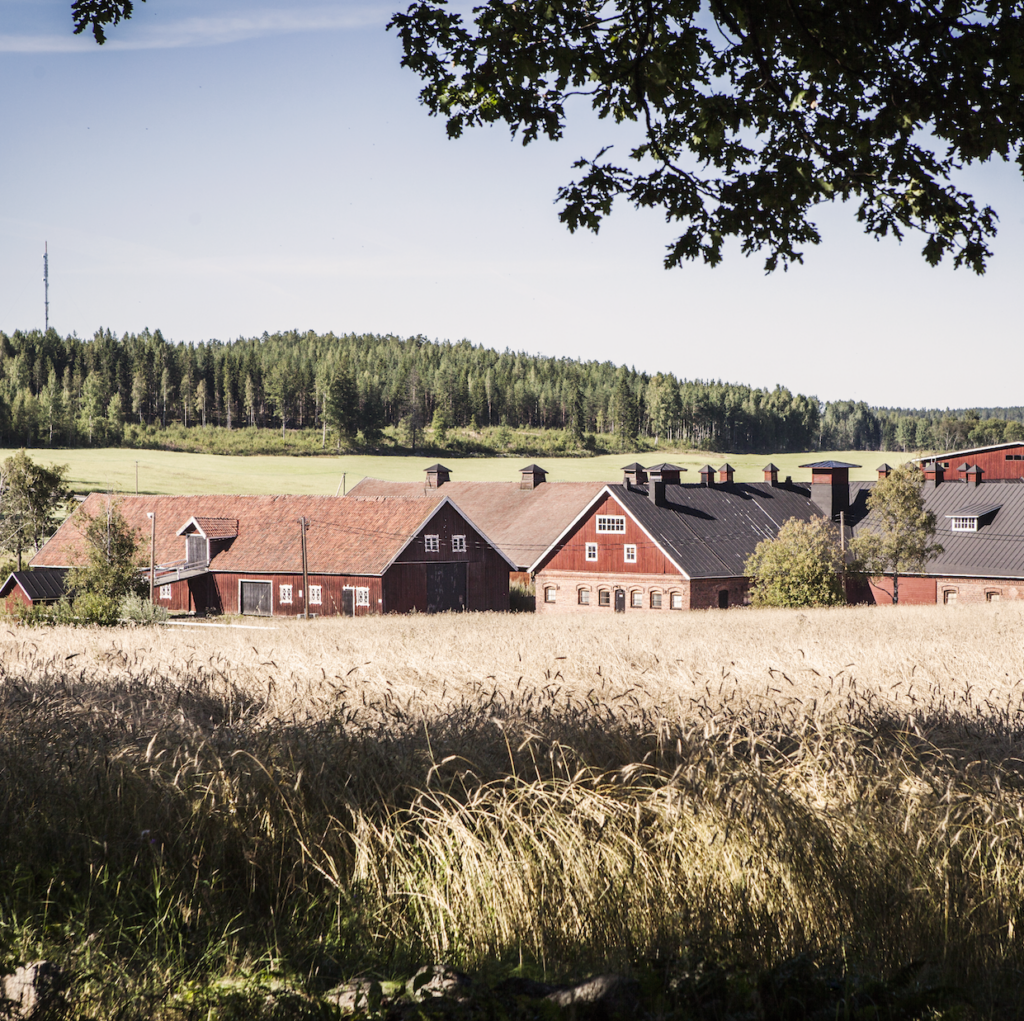 Maisemakuva, jossa viljapeltoja. Keskellä punatiilisiä rakennuksia.